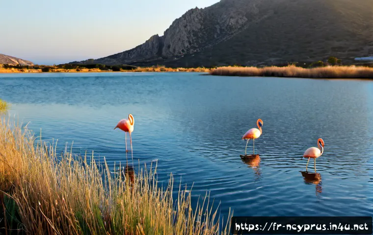 Home 17 북키프로스의 자연보호구역 - Photorealistic sunrise landscape in a protected nature reserve of Northern Cyprus, expansive coastal...
